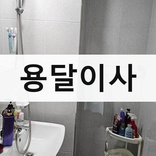 부산 동부 용달이사 포장이사