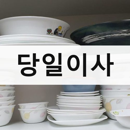 부산 동부 당일이사 포장이사
